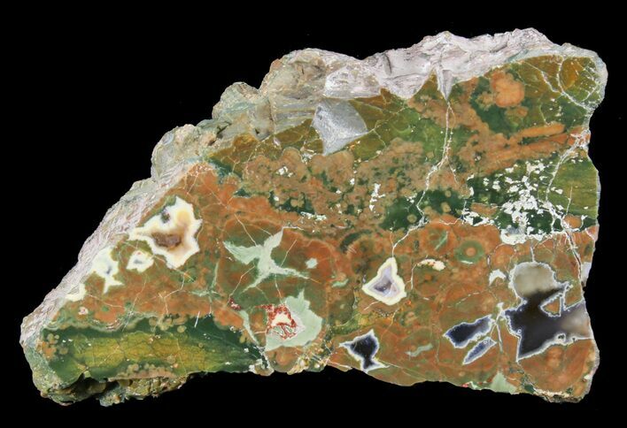 Polished Rainforest Jasper (Rhyolite) Slab - Australia #65347